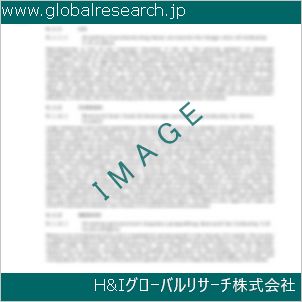 グローバルリサーチ調査資料のイメージ